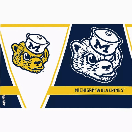 Michigan Wolverines Vault