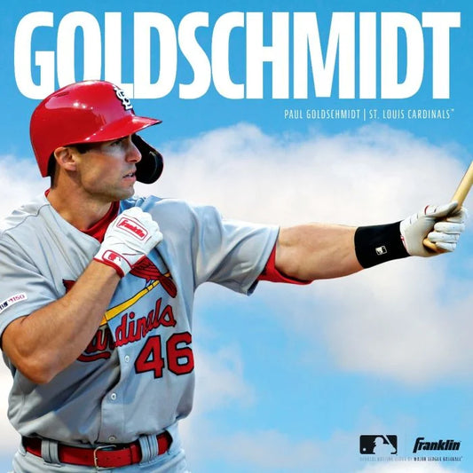 Franklin 2nd-Skinz Batting Gloves