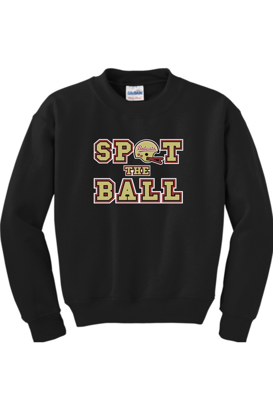 Brandywine Football DTF Youth Heavy Blend Crewneck Sweatshirt