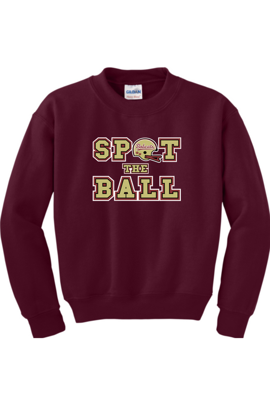 Brandywine Football DTF Youth Heavy Blend Crewneck Sweatshirt