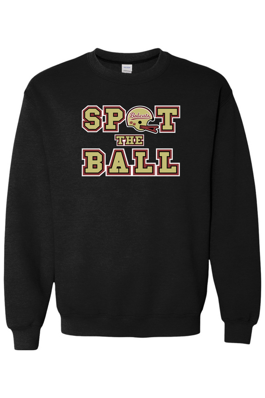 Brandywine Football DTF Heavy Blend Crewneck Sweatshirt