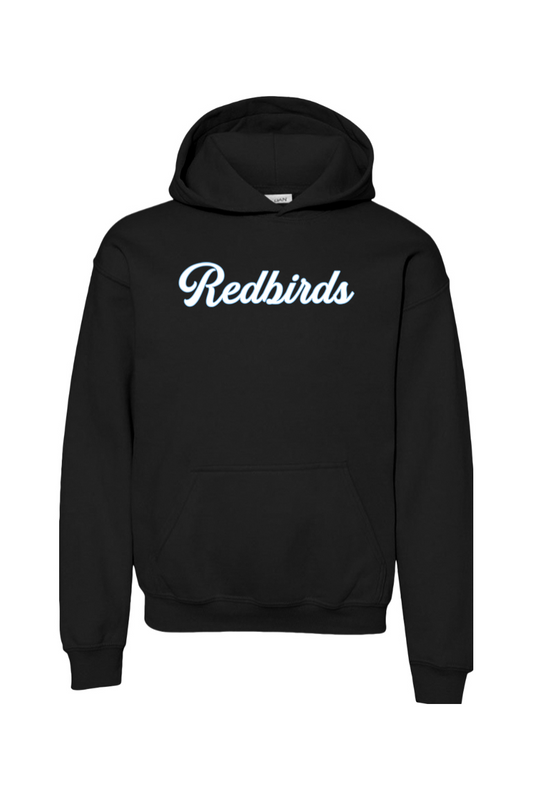 Marion Redbirds Baseball DTF Youth Heavy Blend Hooded Sweatshirt