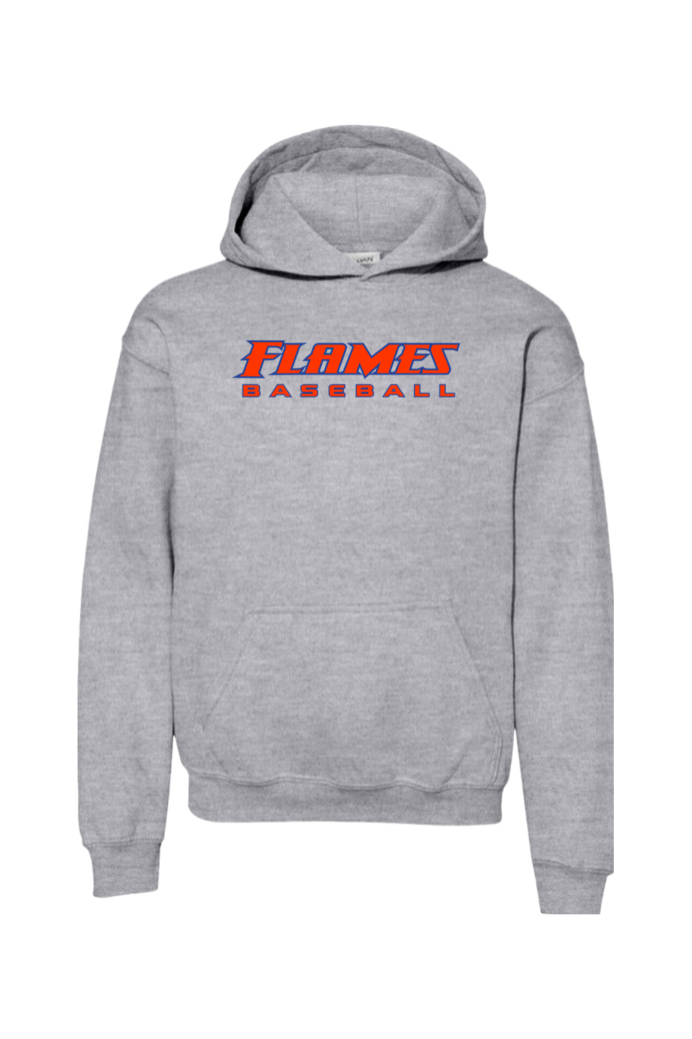 Flames MI Baseball DTF Youth Heavy Blend Hooded Sweatshirt