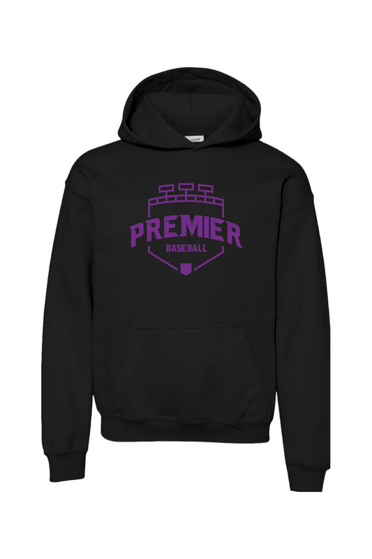 Premier Baseball AZ Youth Hooded Sweatshirt - Purple Logo