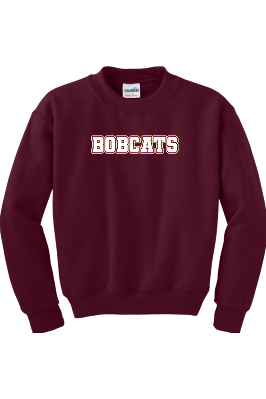 Brandywine Football DTF Youth Heavy Blend Crewneck Sweatshirt