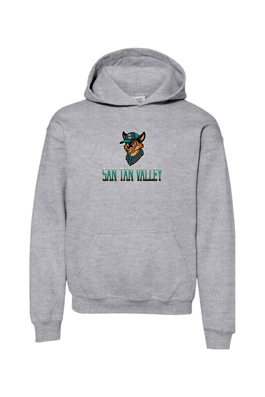 Youth San Tan Valley Heavy Blend Hooded Sweatshirt