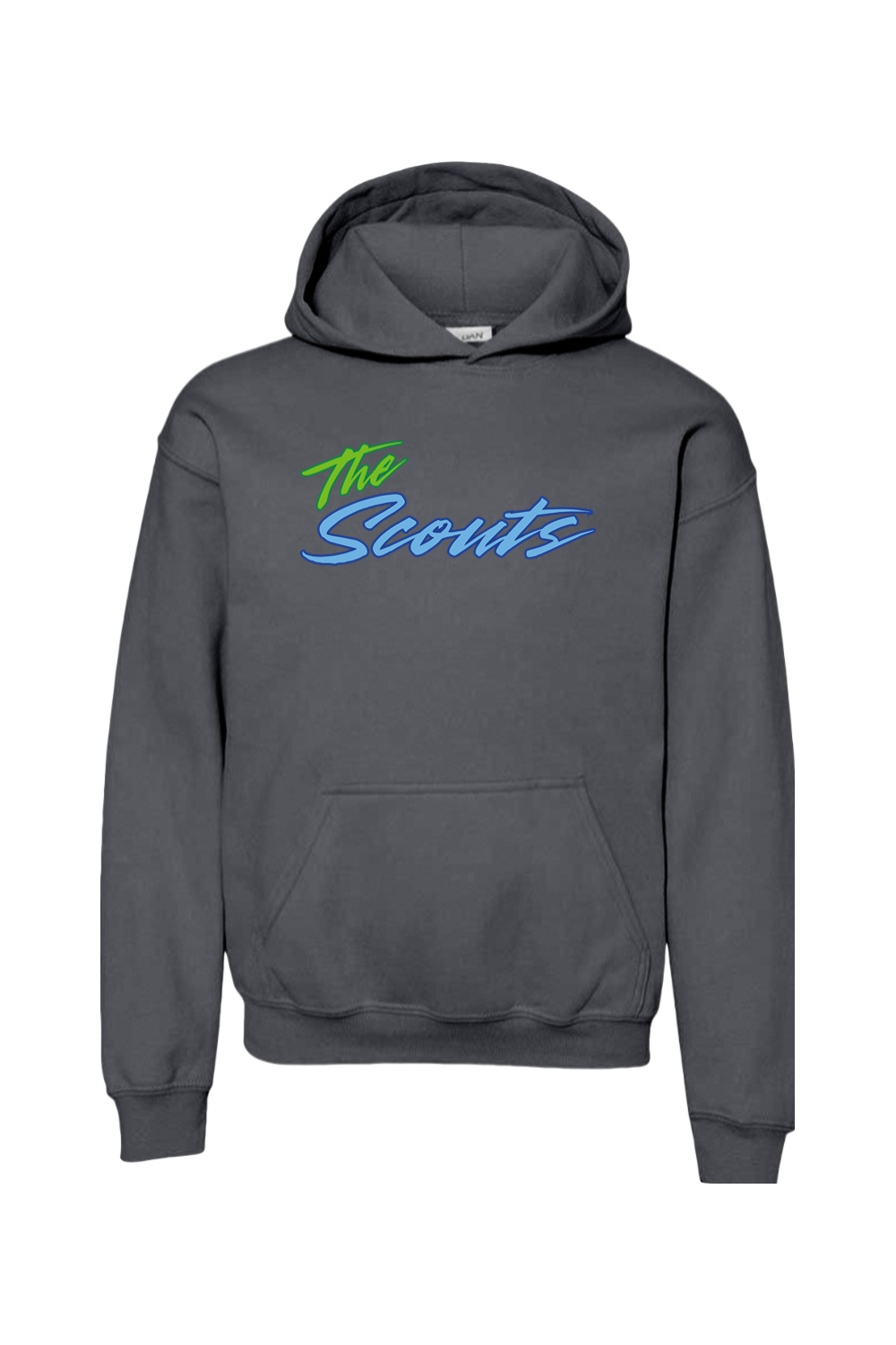 CF Scouts Baseball DTF Youth Heavy Blend Hooded Sweatshirt