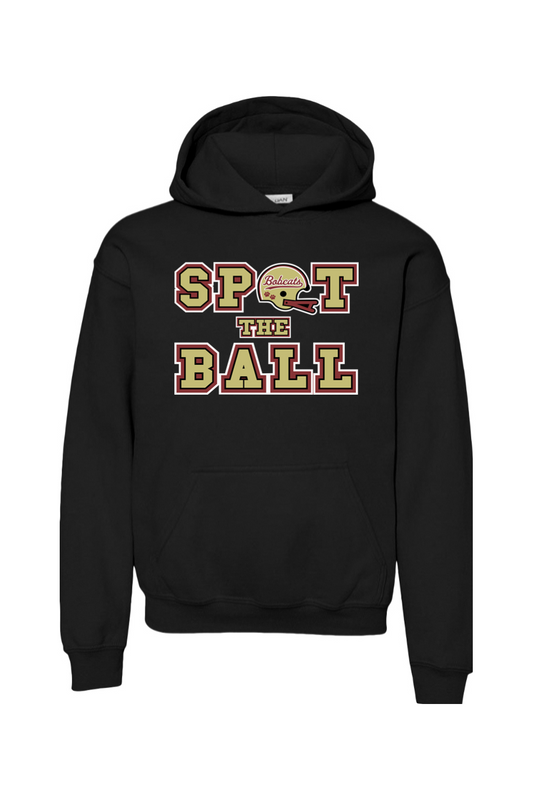 Brandywine Football DTF Youth Heavy Blend Hooded Sweatshirt