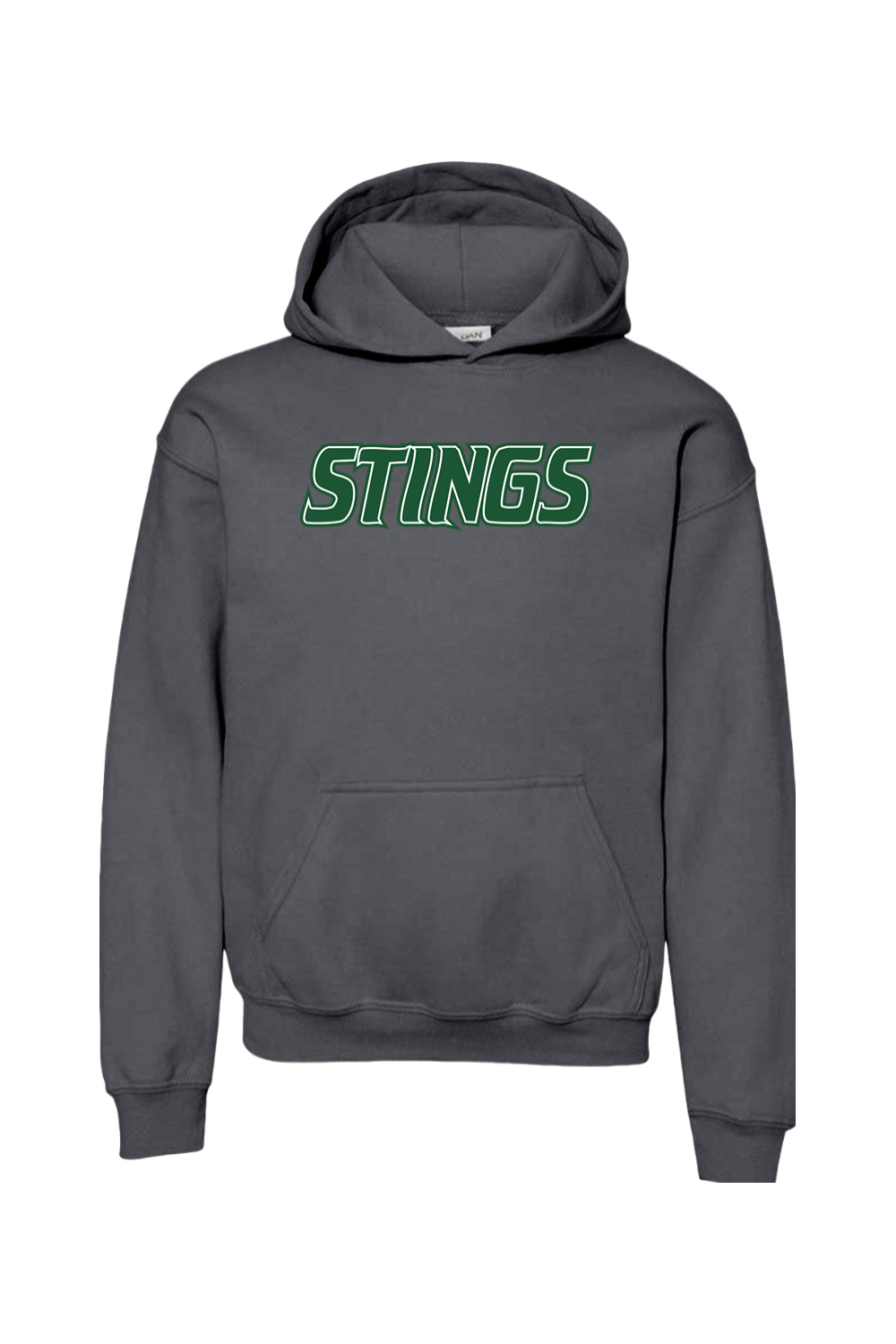 Williamston Stings Youth Heavy Blend Hooded Sweatshirt