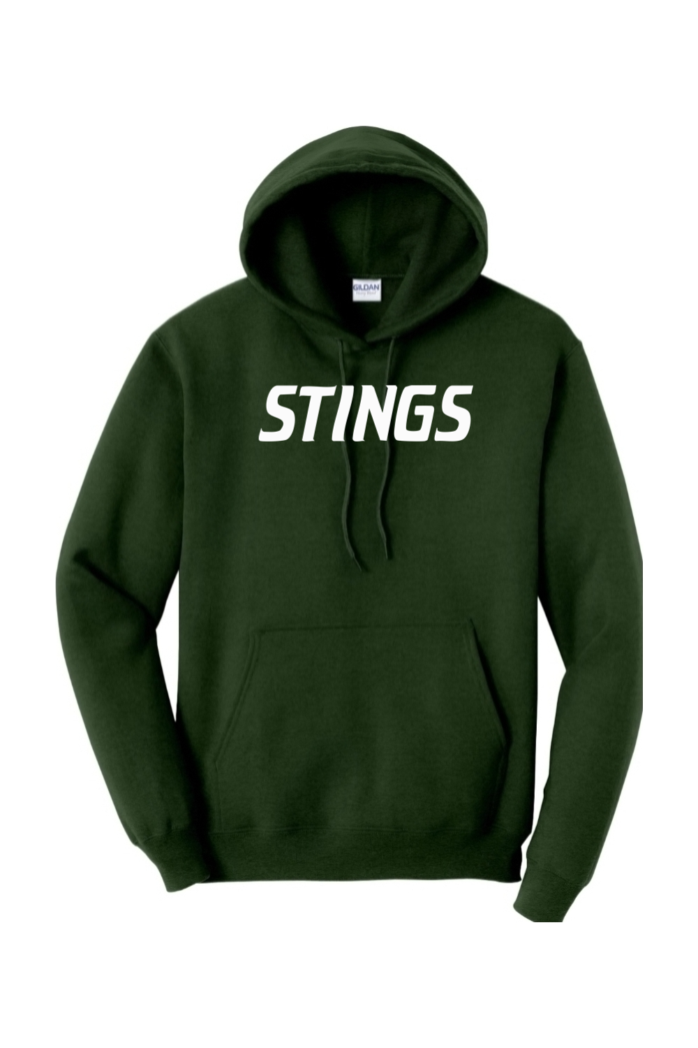 Williamston Stings Heavy Blend Hooded Sweatshirt