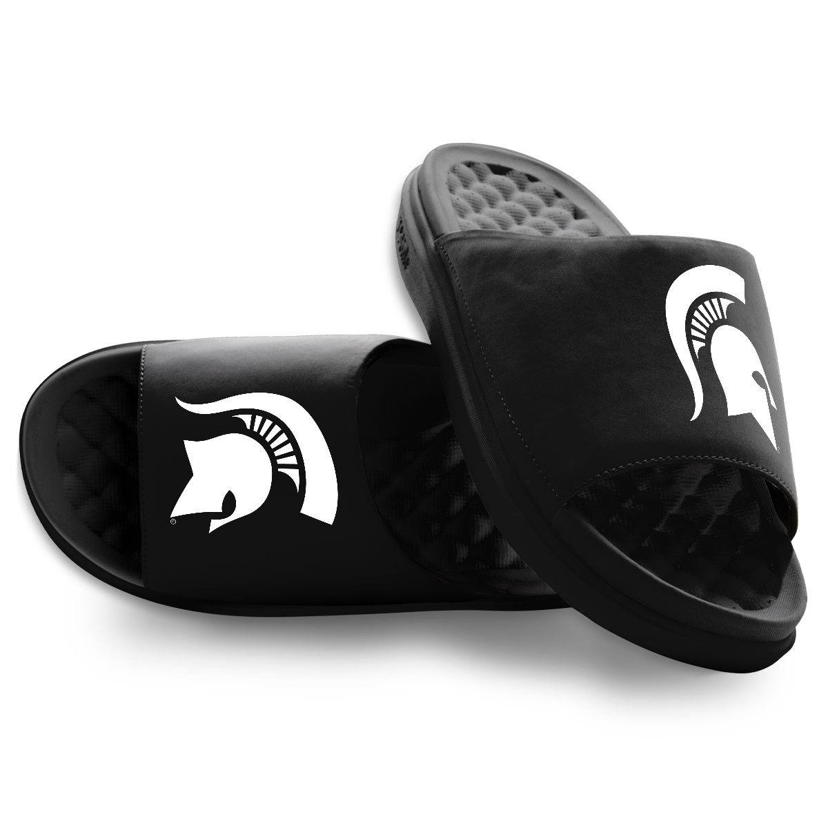 Michigan State Spartans Primary Motive
