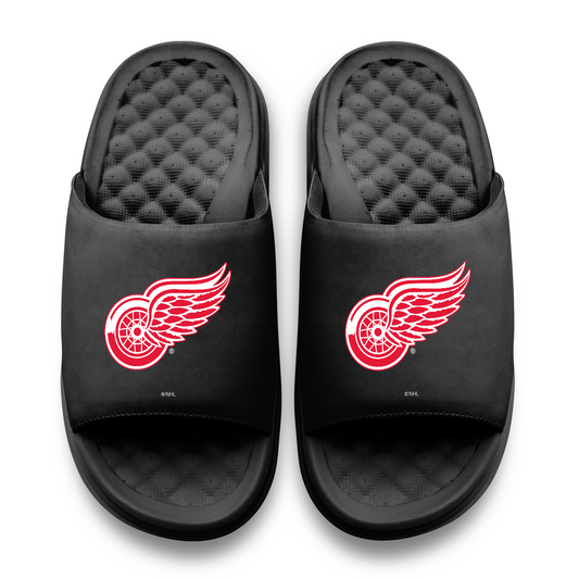 Detroit Red Wings Primary Motive