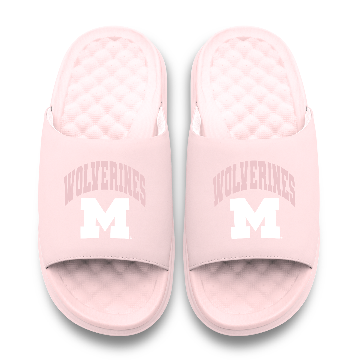 Michigan Wolverines Tonal Pop Motive