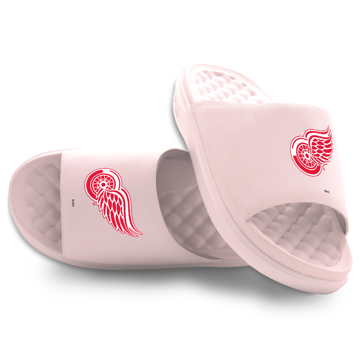 Detroit Red Wings Primary Motive