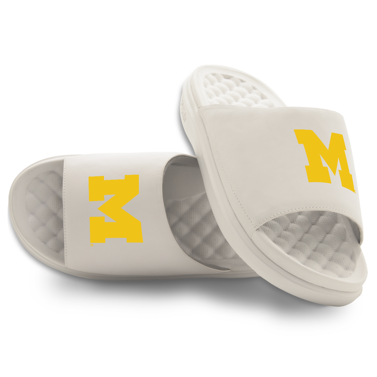 Michigan Wolverines Primary Motive