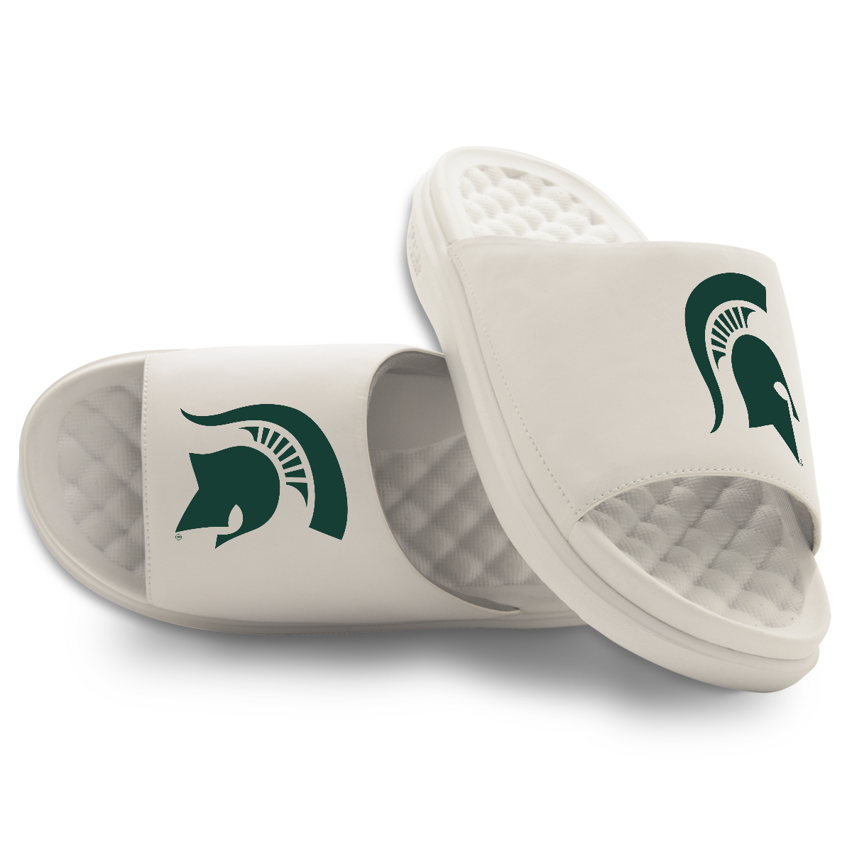 Michigan State Spartans Primary Motive