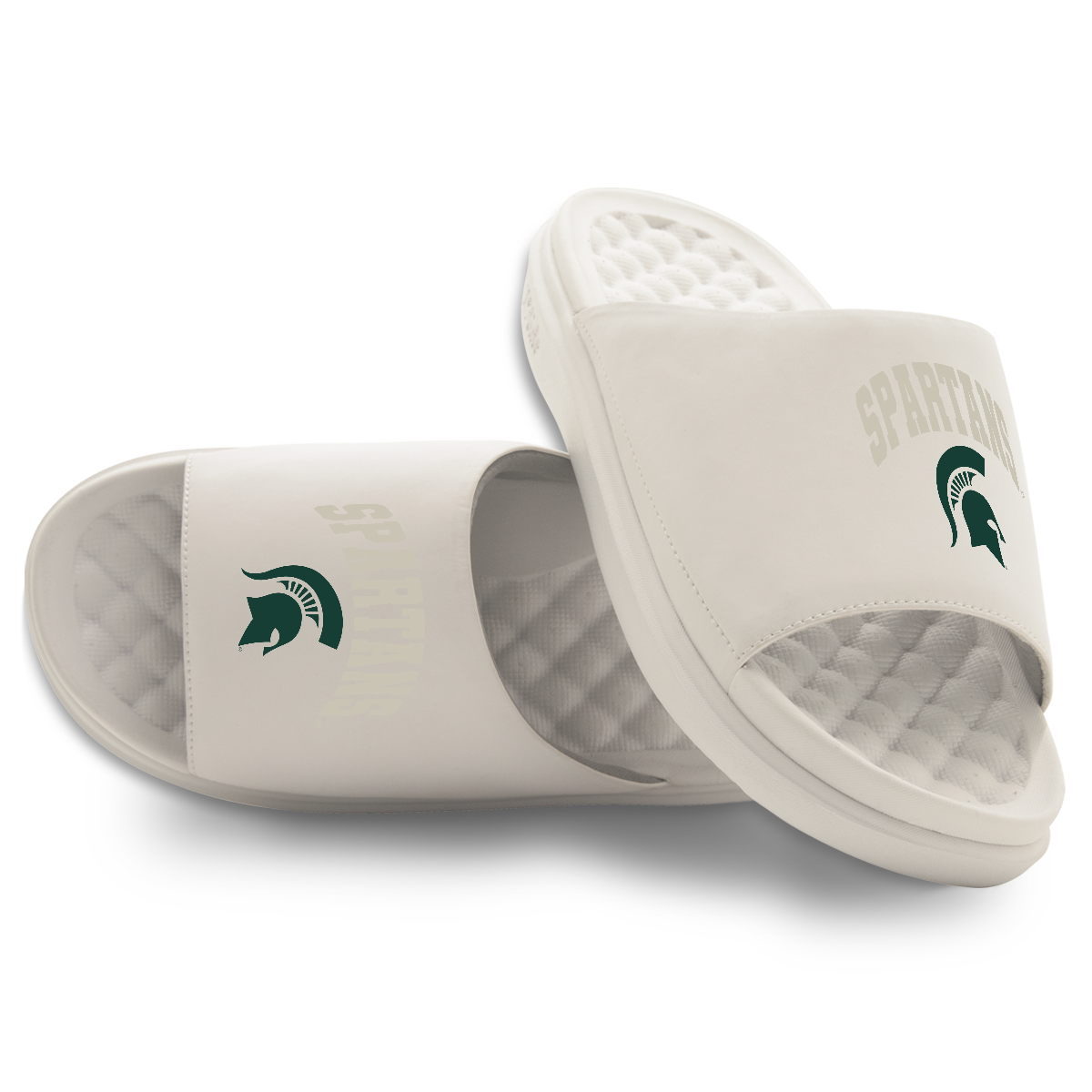 Michigan State Spartans Tonal Pop Motive