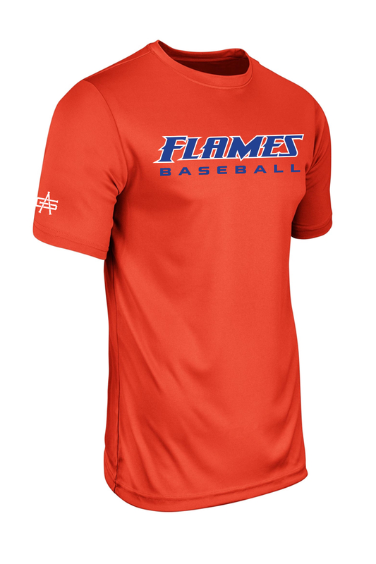 Flames MI Baseball Vision Tee DTF Jersey
