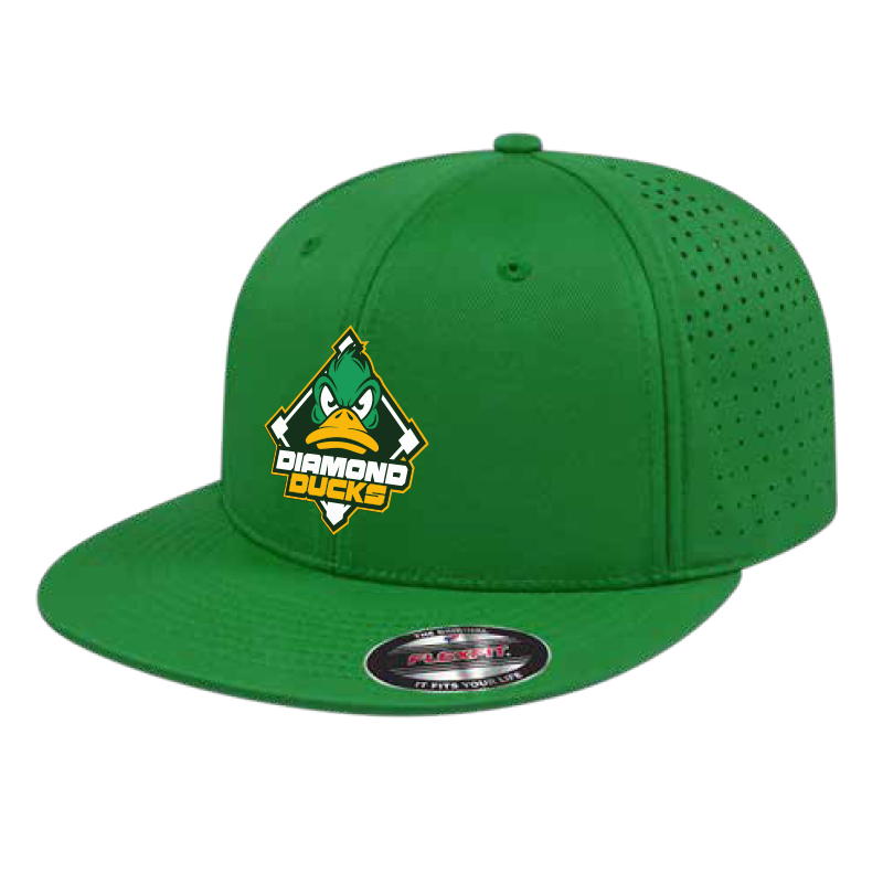 Diamond Ducks Embroidered i8503
