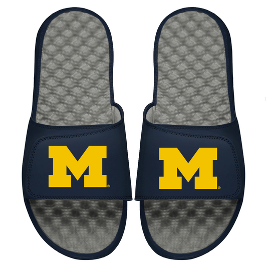 Michigan Primary Logo Slides