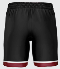 PCM Mustangs Wrestling Fight Shorts