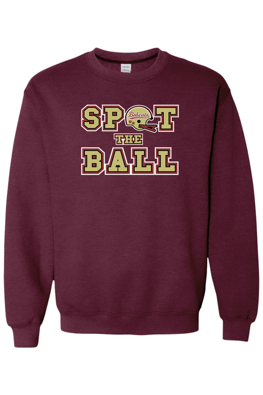 Brandywine Football DTF Heavy Blend Crewneck Sweatshirt
