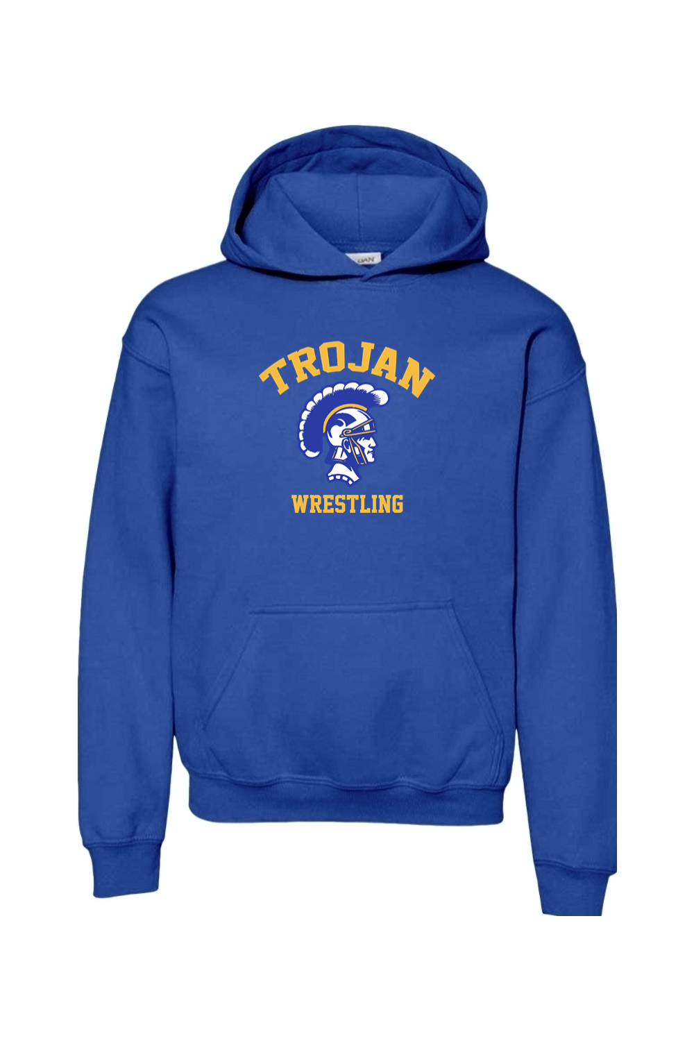 Adrian Madison Wrestling DTF Youth Heavy Blend Hooded Sweatshirt