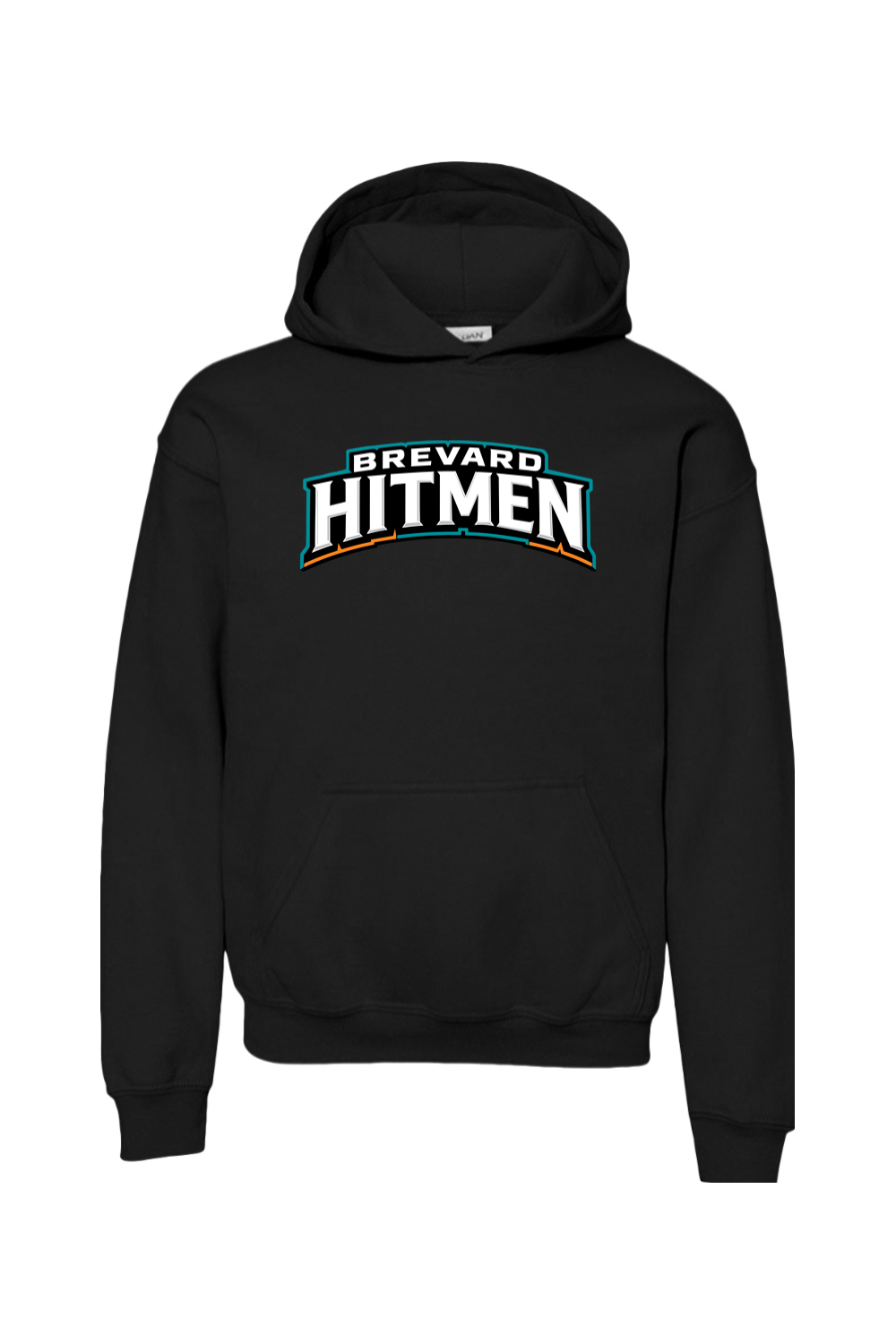 Brevard Hitmen DTF Youth Heavy Blend Hooded Sweatshirt