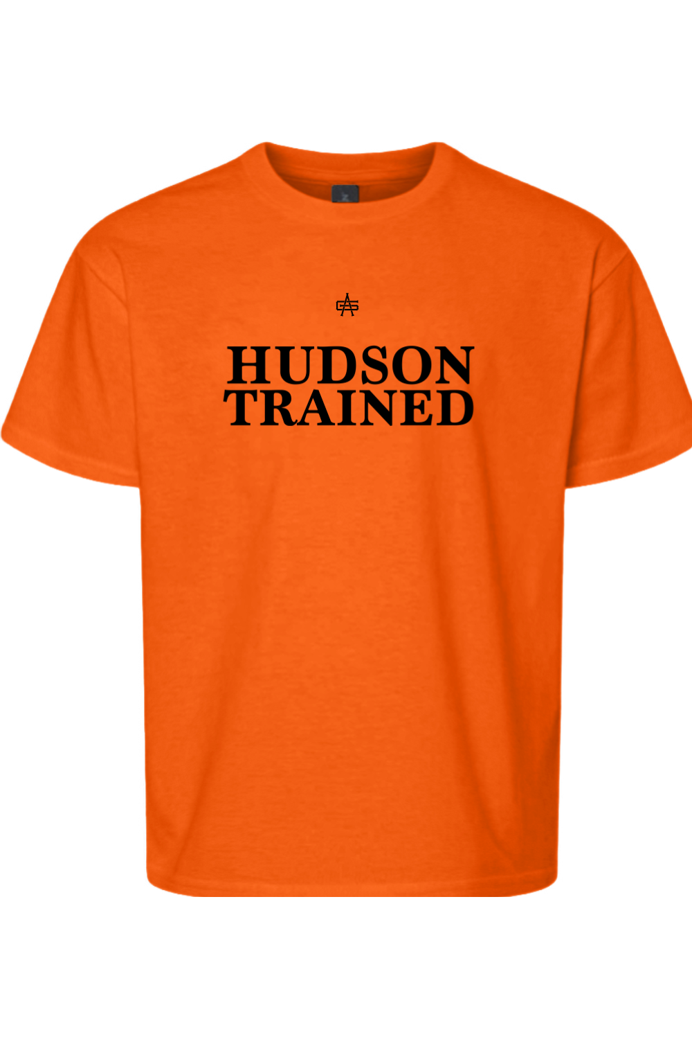 Hudson Trained DTF Youth Softstyle T-Shirt