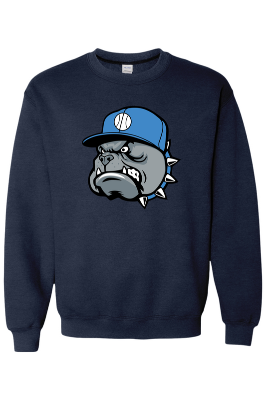 Central Florida Studs Heavy Blend Crewneck Sweatshirt