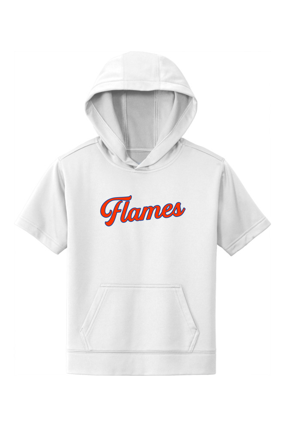 Flames MI Team DTF Youth Fleece Short Sleeve Hooded Pullover