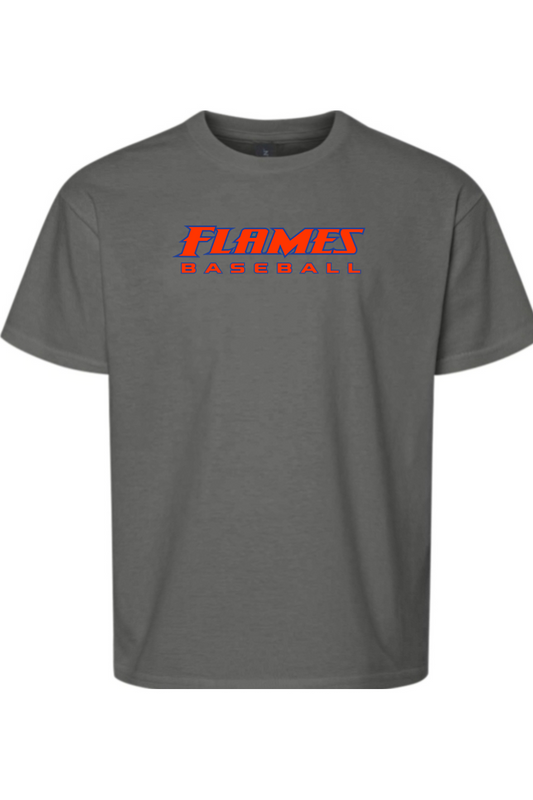 Flames MI Baseball DTF Youth Softstyle T-Shirt