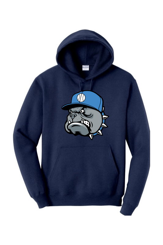 Central Florida Studs Heavy Blend Hooded Sweatshirt