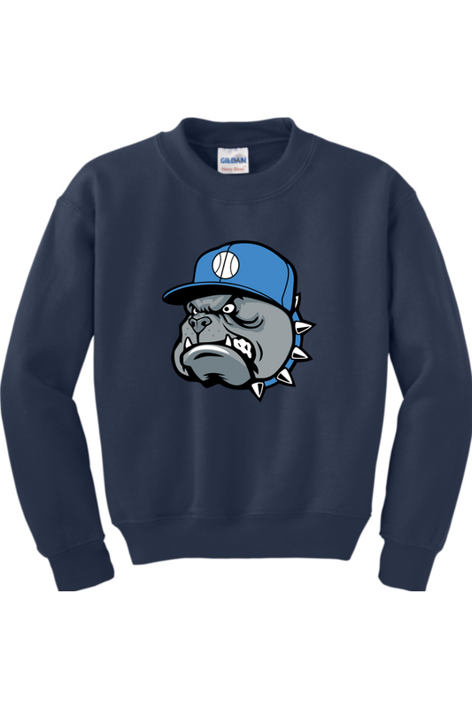 Central Florida Studs Youth Heavy Blend Crewneck Sweatshirt
