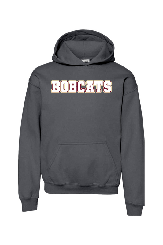 Brandywine Football DTF Youth Heavy Blend Hooded Sweatshirt