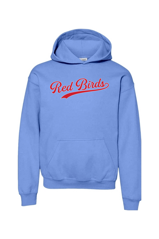 Marion Redbirds Baseball DTF Youth Heavy Blend Hooded Sweatshirt