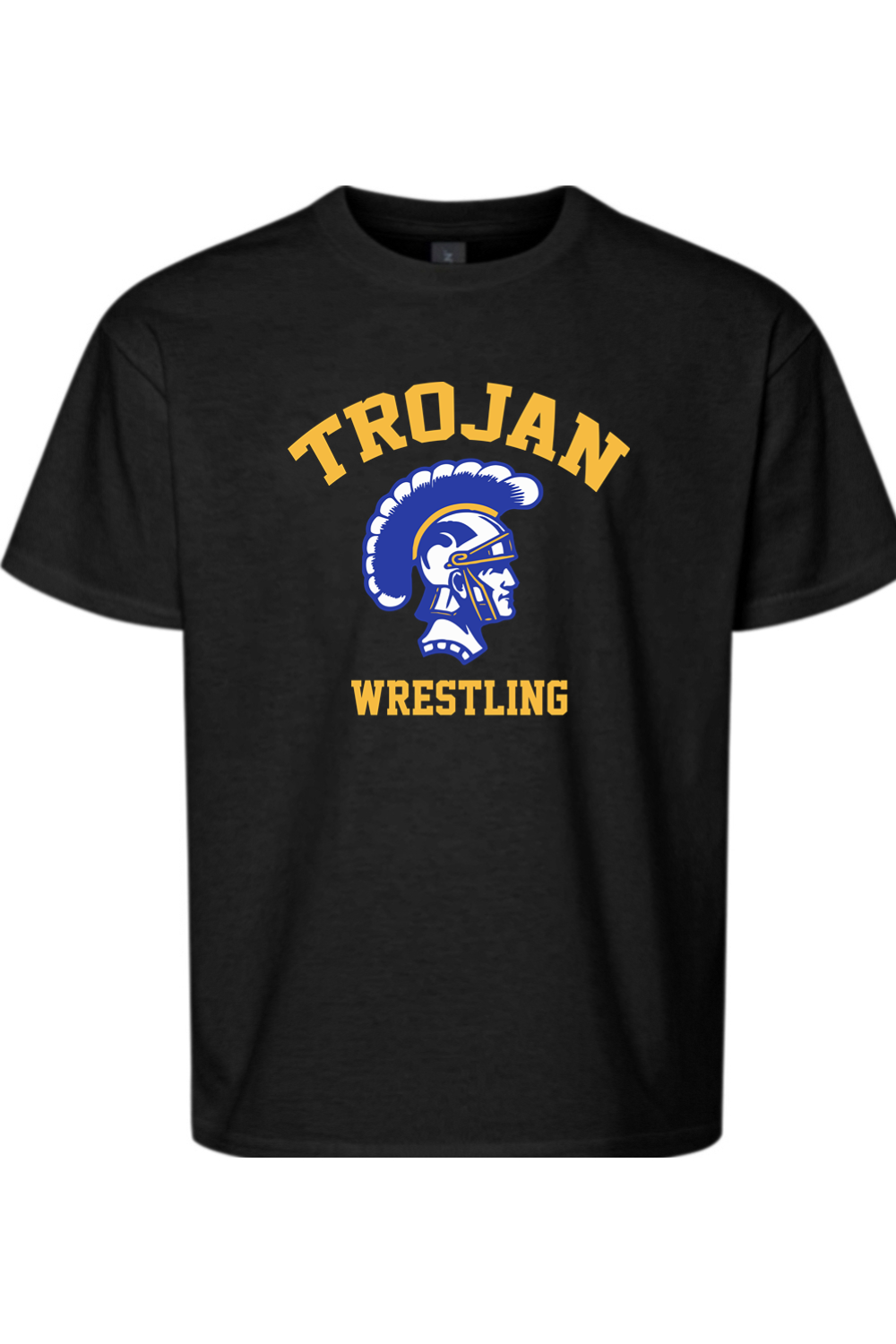 Adrian Madison Wrestling DTF Youth Softstyle T-Shirt