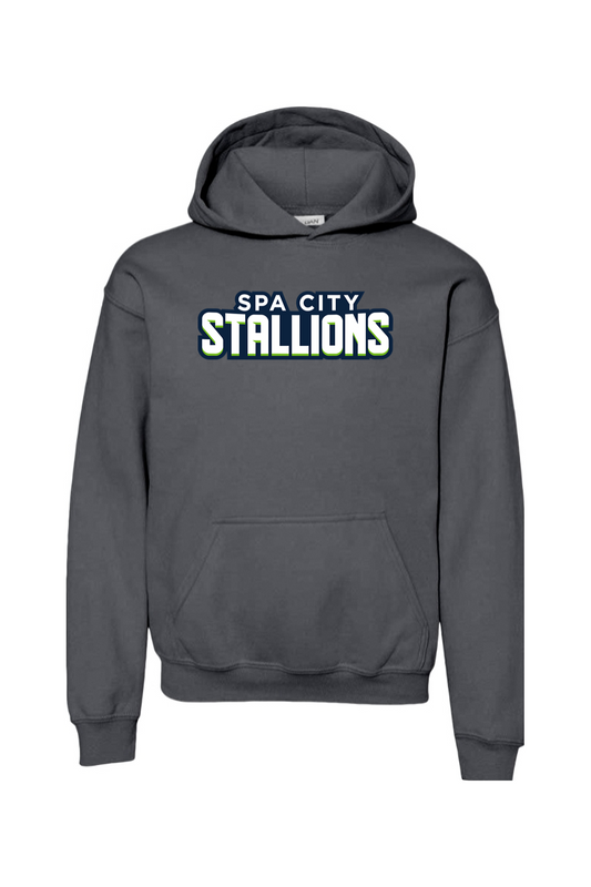 Spa City Stallions DTF Youth Heavy Blend Hooded Sweatshirt