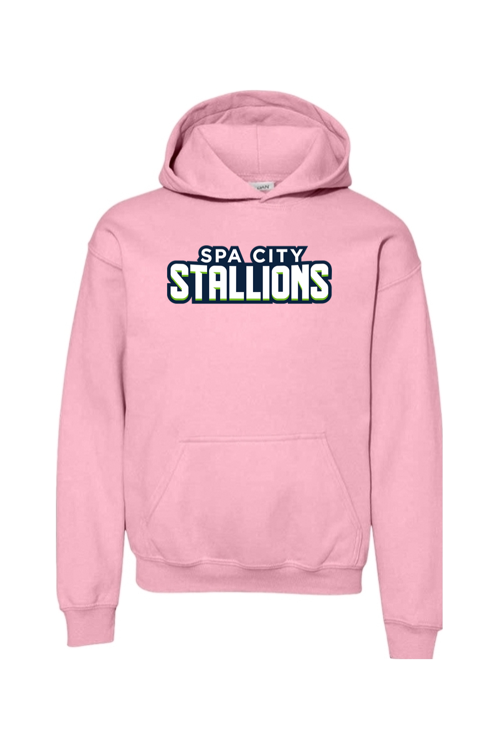 Spa City Stallions DTF Youth Heavy Blend Hooded Sweatshirt