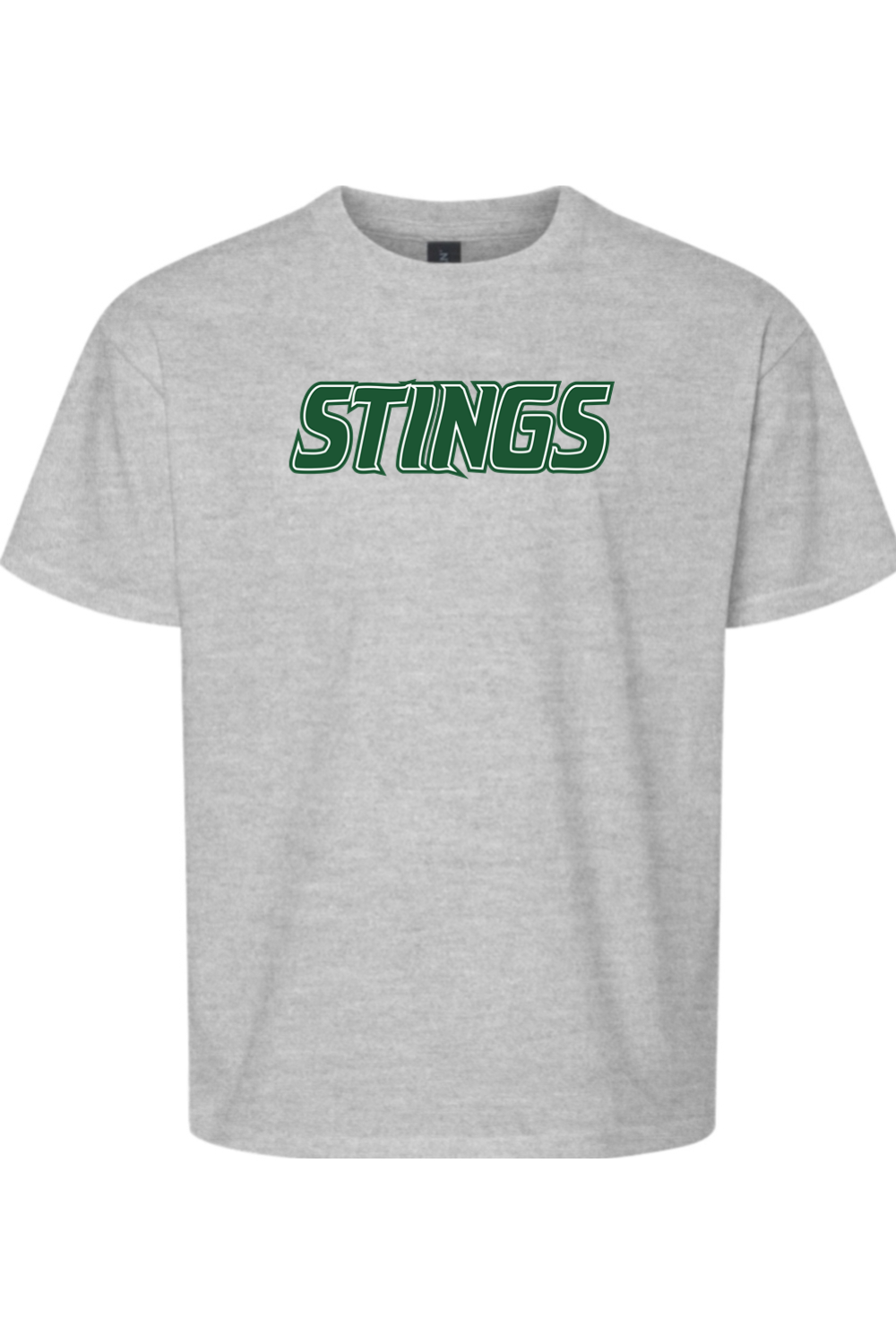 Williamston Stings Youth Softstyle T-Shirt