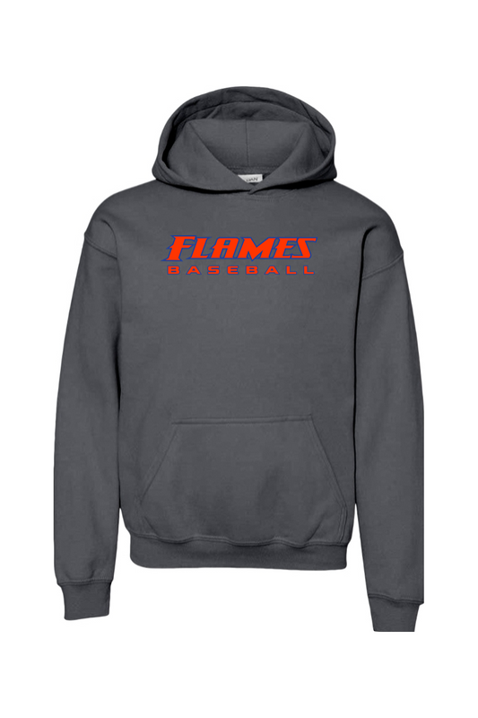 Flames MI Baseball DTF Youth Heavy Blend Hooded Sweatshirt