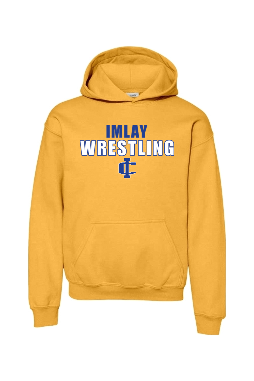 Imlay Wrestling DTF Youth Heavy Blend Hooded Sweatshirt