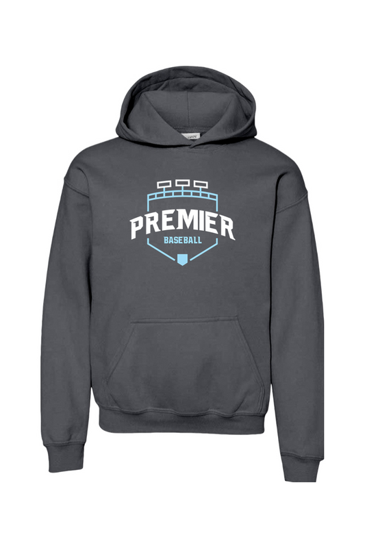 Michigan's Premier Youth Heavy Blend Hoodie