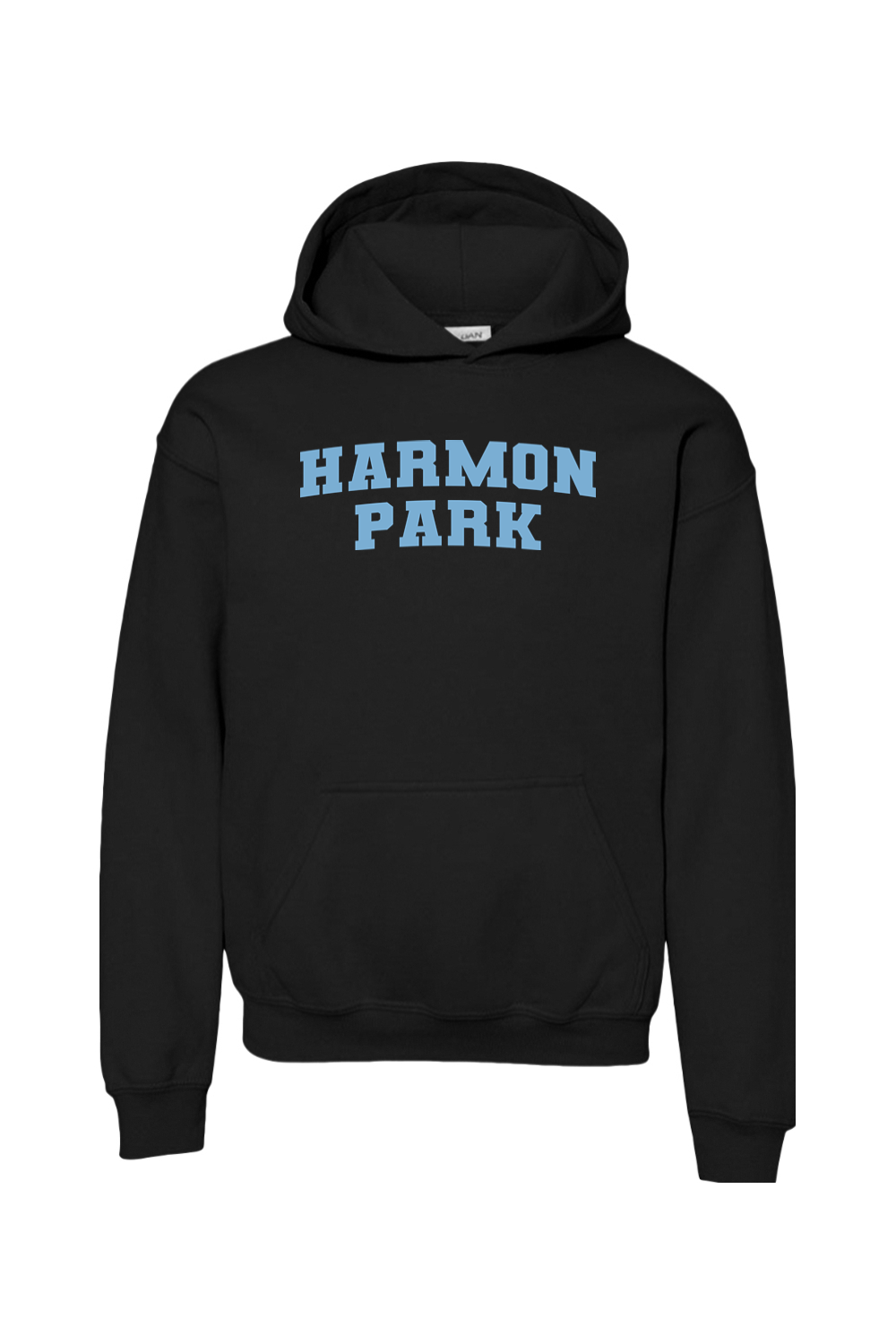 Harmon Park Youth Heavy Blend Hooded Sweatshirt