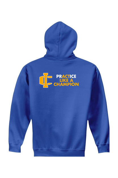 Imlay Wrestling DTF Youth Heavy Blend Hooded Sweatshirt