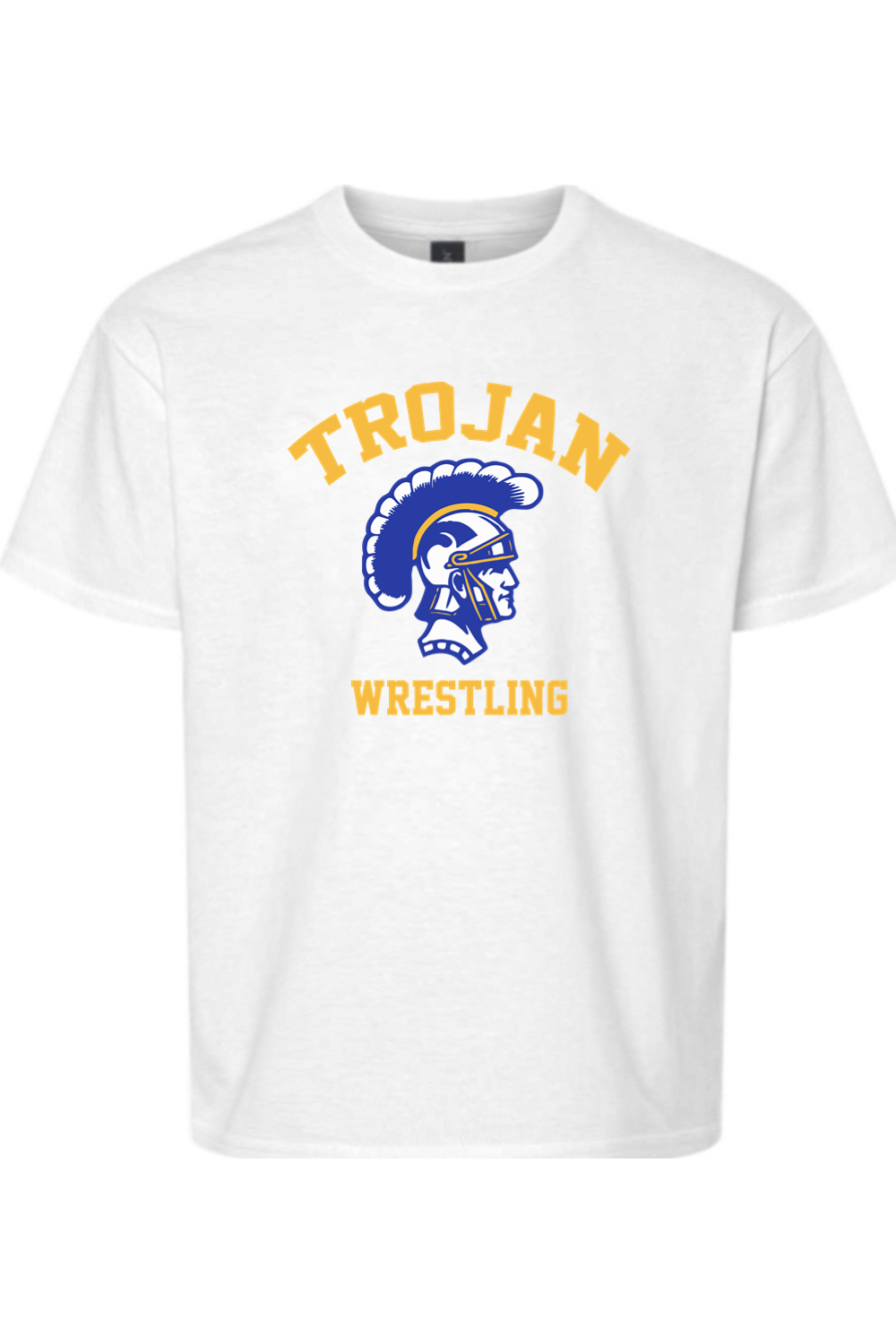 Adrian Madison Wrestling DTF Youth Softstyle T-Shirt