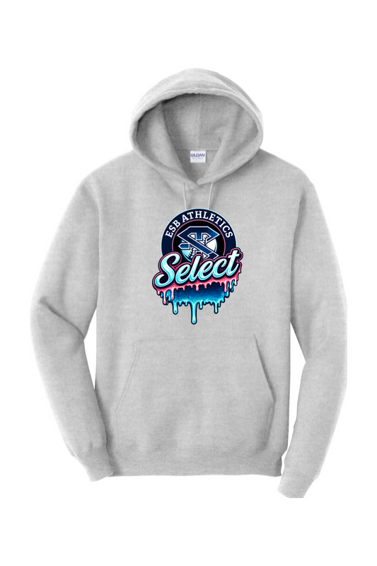 ESB Athletics Heavy Blend Hooded Sweatshirt