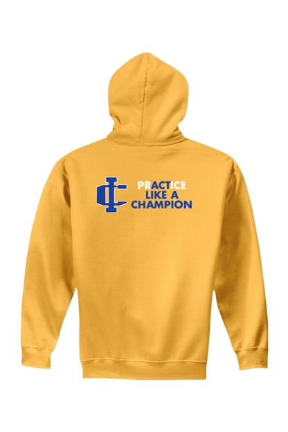 Imlay Wrestling DTF Youth Heavy Blend Hooded Sweatshirt