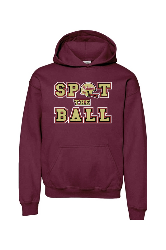 Brandywine Football DTF Youth Heavy Blend Hooded Sweatshirt