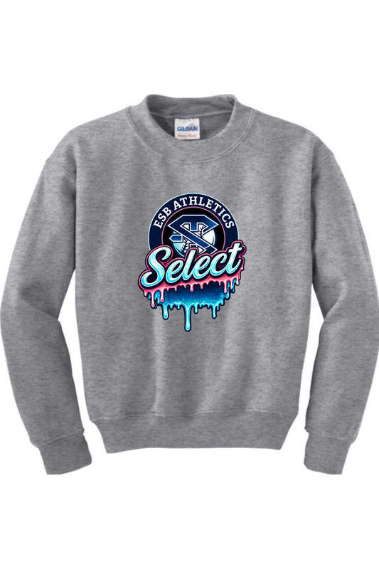 ESB Athletics Youth Heavy Blend Crewneck Sweatshirt
